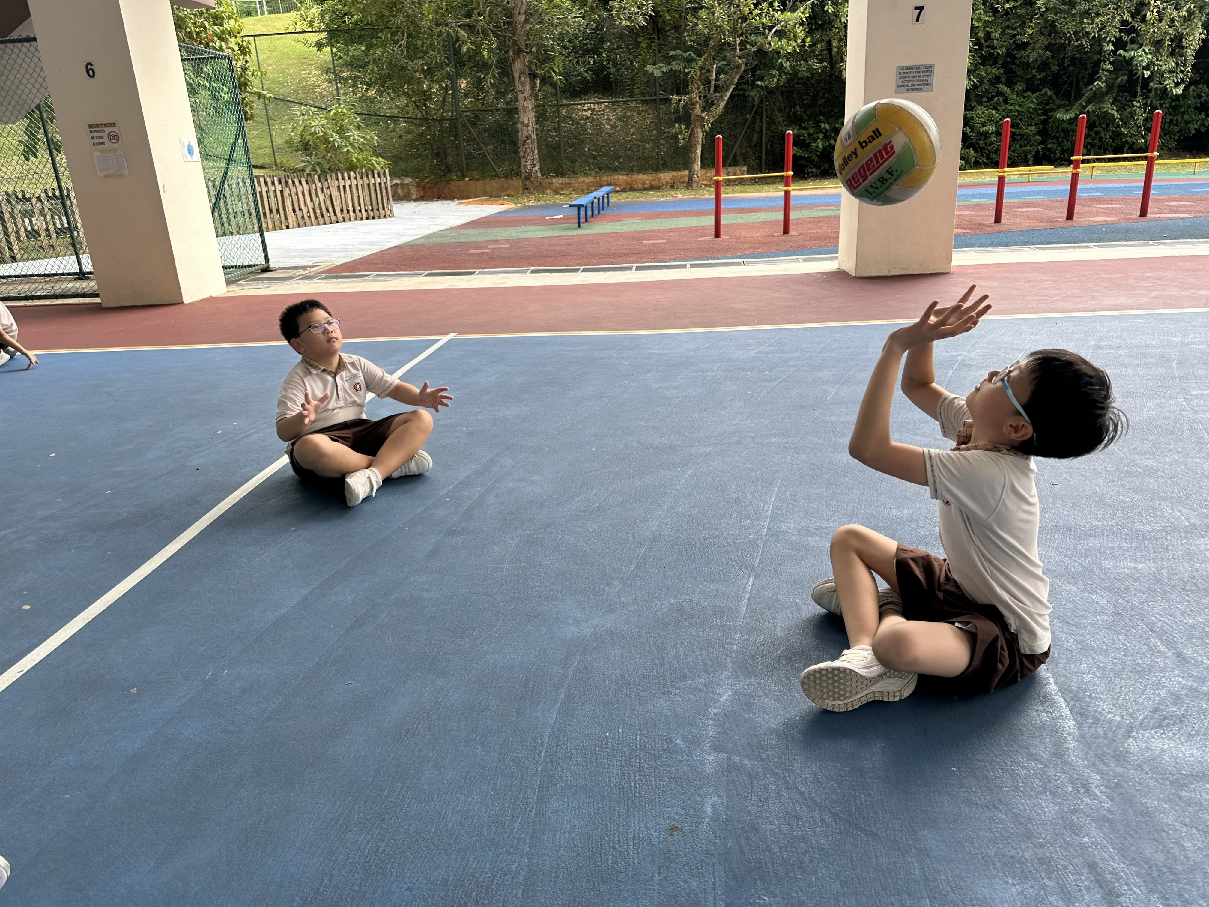 Multi-sport Volleyball